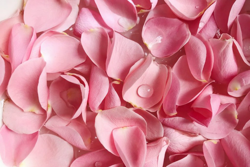 how to use rose petals for your hair